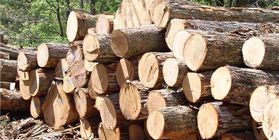 Wood processing manufacture