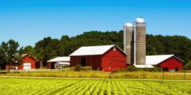 AGRICULTURAL-BUSINESS INCUBATOR — ESTATE