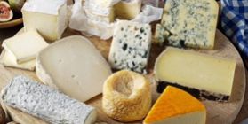 The creation of a network of production of farm cheese from organic milk under licenses from foreign manufacturers