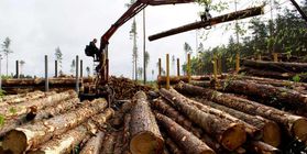 Logging in the Republic of Khakassia