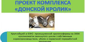 Industrial production of rabbit meat