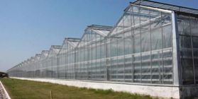 Industrial production of vegetables and herbs in greenhouses