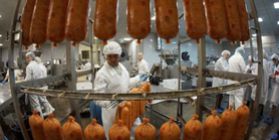 Plant for the production of sausage products and semi-finished products deep-frozen