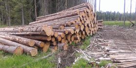 lumber production
